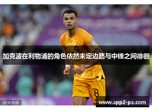 加克波在利物浦的角色依然未定边路与中锋之间徘徊