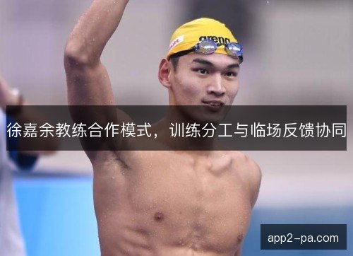 徐嘉余教练合作模式，训练分工与临场反馈协同